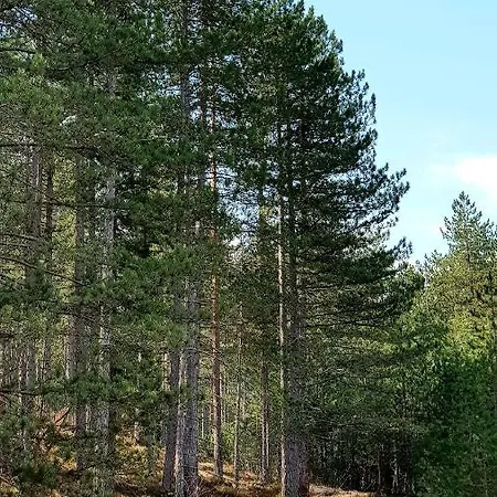 Chalet Previja