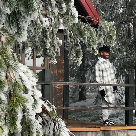 Previja Zlatibor