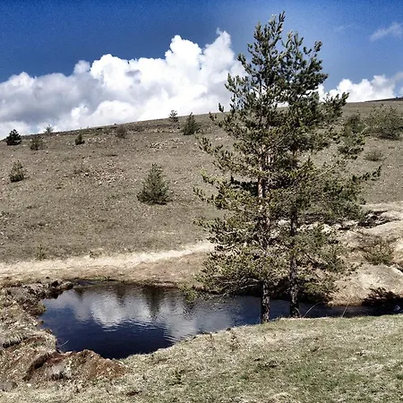 Chalet Previja Zlatibor
