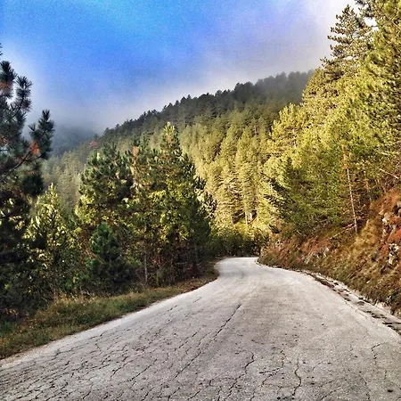 Chalet Previja Zlatibor