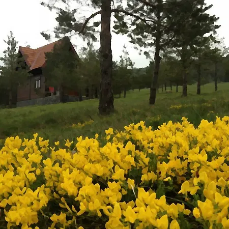 Chalet Previja