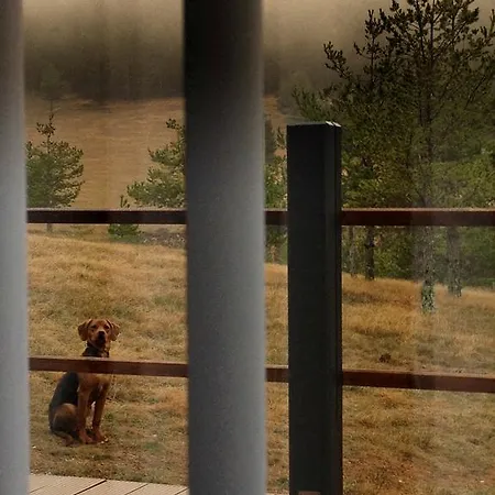 Chalet Previja Zlatibor