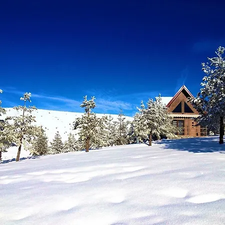 Chalet Previja Zlatibor