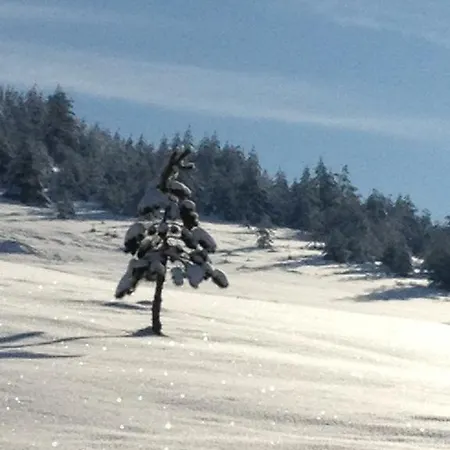 Previja Chalet Zlatibor