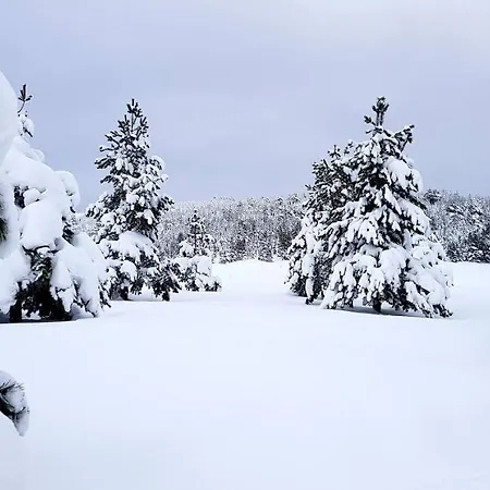 Chalet Previja *